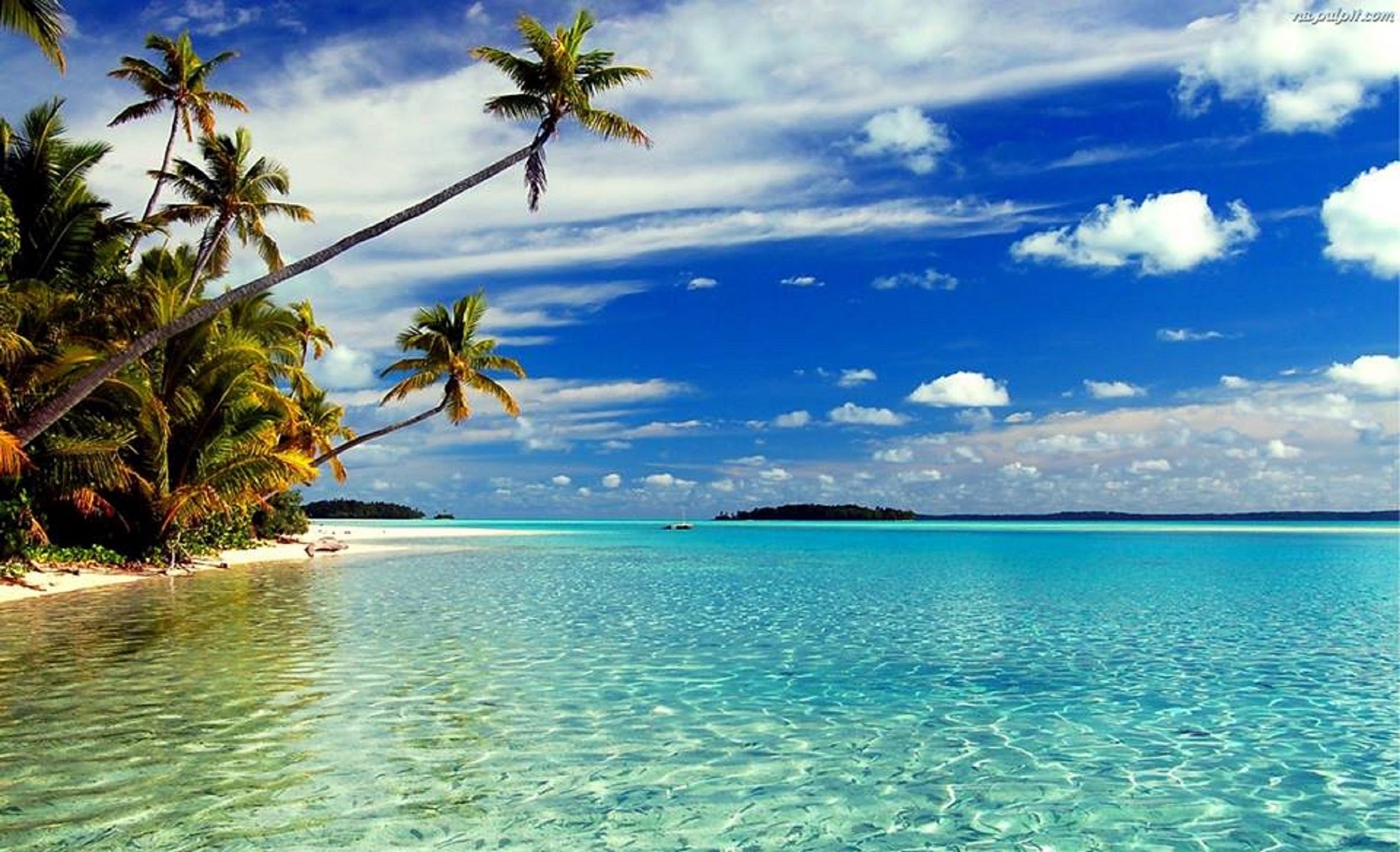 beach