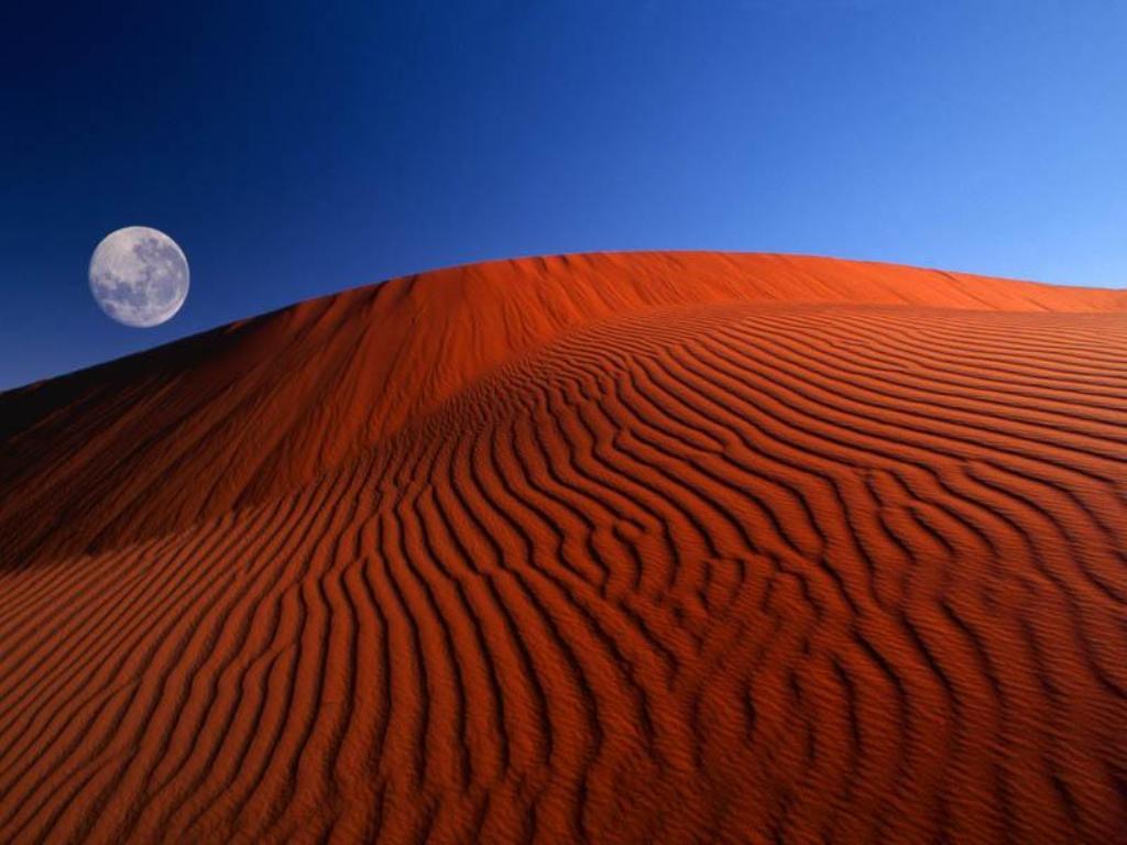 dunes